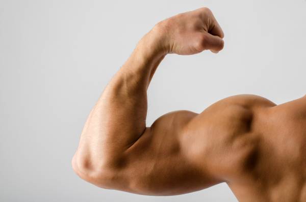 foods to build muscles